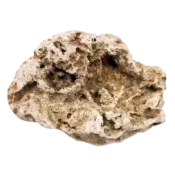 Ambergris note
