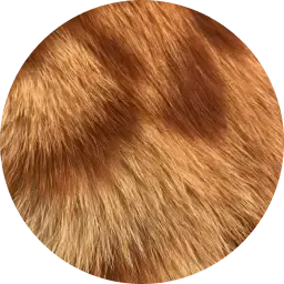 Animalic note