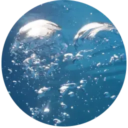 Aquatic note