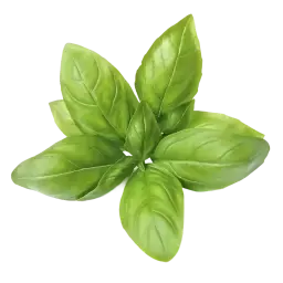 Basil note