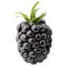Blackberry note