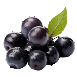 Blackcurrant note
