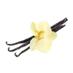 Bourbon Vanilla note