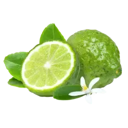 Calabrian Bergamot note