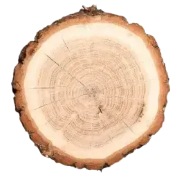Cashmere Wood note