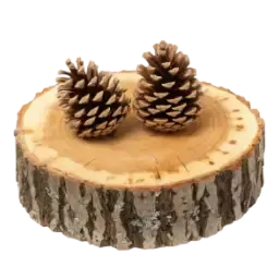 Cedar note
