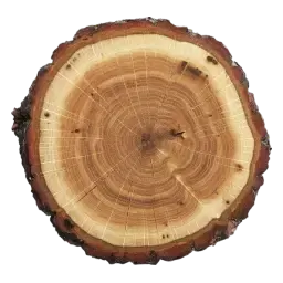 Cedarwood note