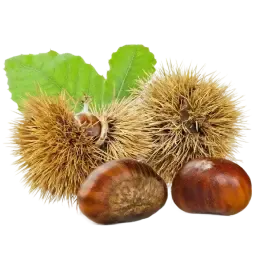 Chestnut note