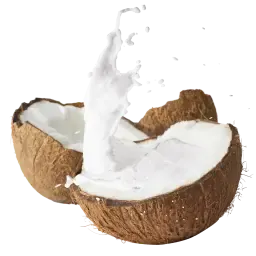 Coconut Milk note