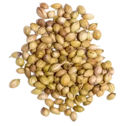 Coriander note