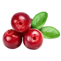 Cranberry note