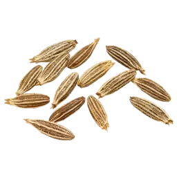 Cumin note