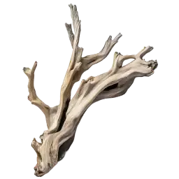 Driftwood note