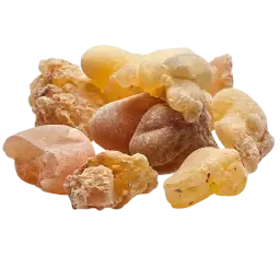 Dry Amber note