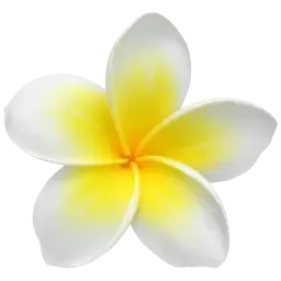 Frangipani note
