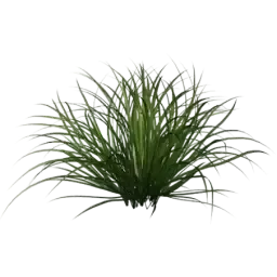 Grass note