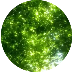 Green note