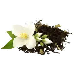 Jasmine Tea note