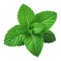 Mint note
