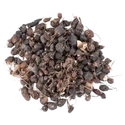 Nagarmotha note