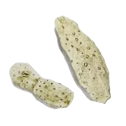 Orris Root note