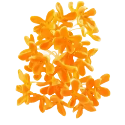 Osmanthus note