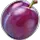Plum note