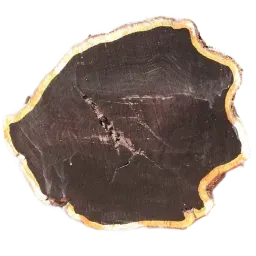 Precious Wood note