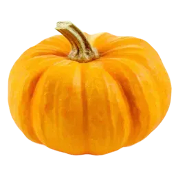 Pumpkin note