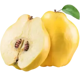 Quince note