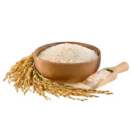 Rice note