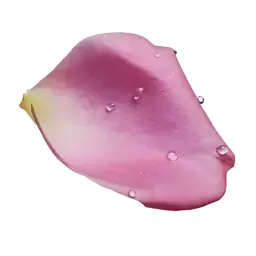 Rose Water note