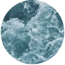 Sea note