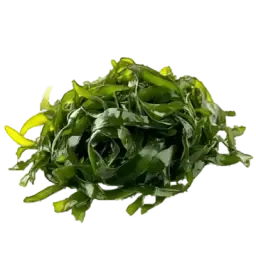 Seaweed note