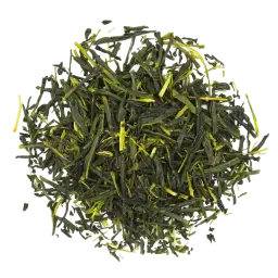 Sencha note
