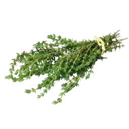 Thyme note