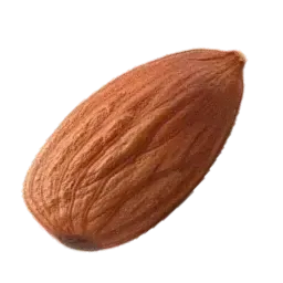 Toasted Almond note