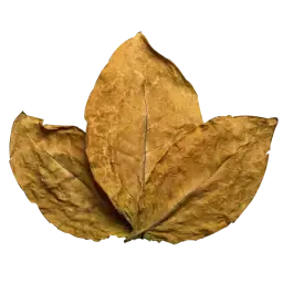 Tobacco note