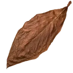 Tobacco Leaf note