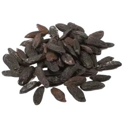 Tonka Bean note