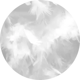 White Musk note