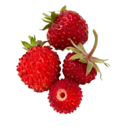 Wild Strawberry note