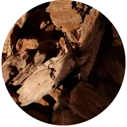 Woody note