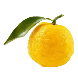 Yuzu note